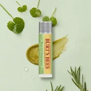 BURTSBEES 레스큐 오인트먼트 위드 시카 스틱 4.25g 2271547