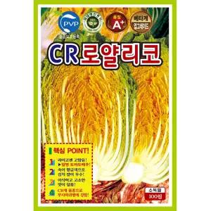 KS종묘 CR로얄리코 황금 배추씨앗 100립 라이코펜 함유 김장 배추씨 종자