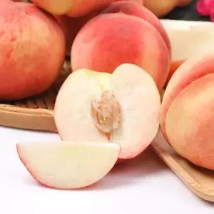딱딱이 털복숭아 대과 2kg (6-9과)