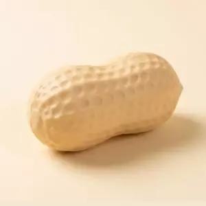 타카라바코 땅콩 크런치 슬랑이 말랑이 슬라임 바삭 촉감 놀이 스트레스 해소 스퀴시 손 장난감