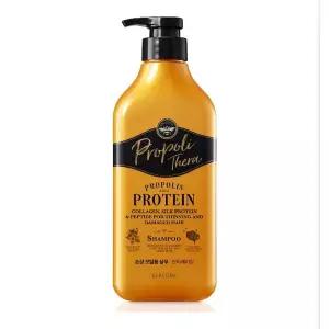 엘라스틴 프로폴리테라 안티에이징케어 샴푸 손상모발용 500ml