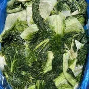 배추우거지 무염 10kg 국내산 냉동삶은 손질 채소 요리용 대용량 해장국용