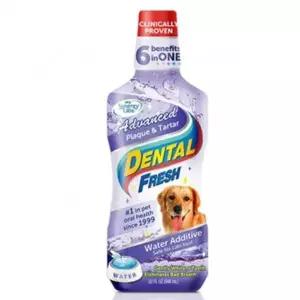 [하프클럽/셀럽하우스]강아지 물에 타주는 치약 애견 가글 치석예방 503ml