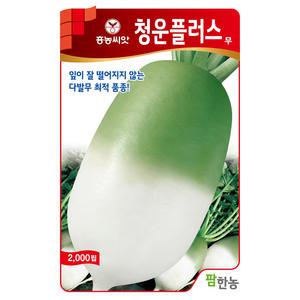 [모종심는아빠] 잎이 잘 떨어지지 않는 다발무의 최강자 청운플러스무 종자2000립