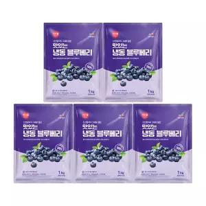 CJ프레시웨이 이츠웰 냉동블루베리1Kg x 5개