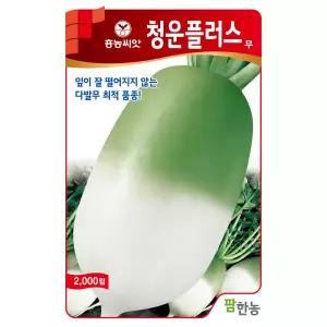 청운플러스무 종자2000립 김장무