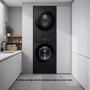 삼성전자 비스포크그랑데AI원바디 WF2420HCVVC 블랙캐비어 트윈스 솔루션