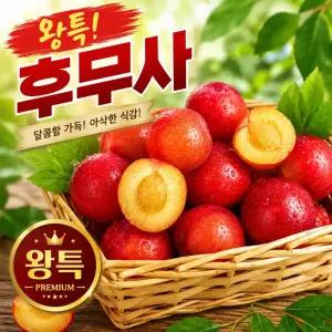 [왕특만 판매] 17Brix 특품 후무사 자두 왕특Size