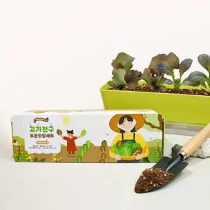 상추키우기 식물재배기 텃밭 씨앗 화분 세트