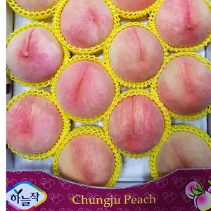 충주하늘작복숭아 가정용복숭아 백도 황도 딱복 물복 딱딱이복숭아 천중도 유명