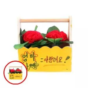 헤이지 C0302 쏘잇 2명용 이션 구름상자 어린이카네이션만들기 반제품카네이션 유아카네이션만들기