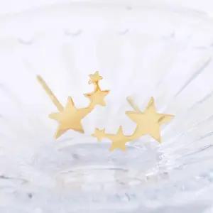 14K GOLD 별무리 스타 여백 일자침 데일리 14K귀걸이