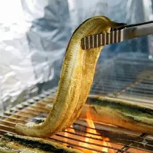 [산지에서 바로출발] 고창 자포니카 민물장어 1KG 손질 후 700g ( 2-4미 내외 )