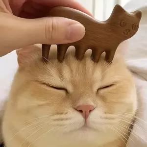 드발리 고양이 나무괄사 두피 지압 바디 마사지 승모근 종아리 목 머리 안마기