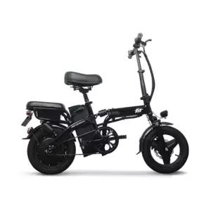 AU테크 전기자전거 스카닉 Fit 48V 10Ah