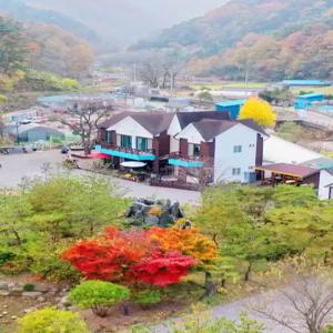 [강원 펜션] 삼척 초당지펜션 (동해,삼척,태백)
