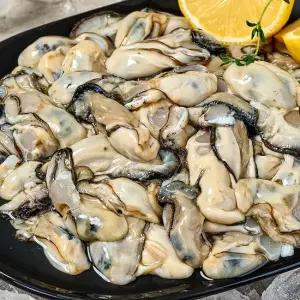 당일조업 통영 생굴 1kg 산지직송