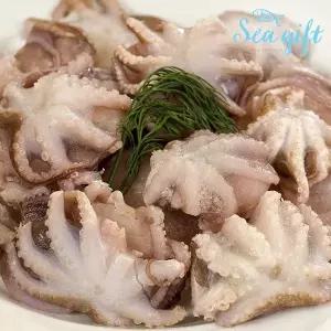 씨기프트 냉동 쭈꾸미 2.16kg (180g x 12팩) 6 8 10 15미 볶음용 업소용 도매