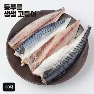 [NS홈쇼핑]국내산 등푸른 생생 고등어 100gX30팩[35926345]