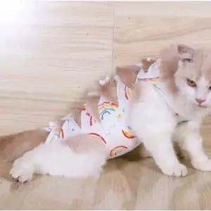 강아지 고양이 중성화 환부 보호복 리본 무지개 수술복