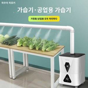 채소 대용량 선도유지 5L 야채가습기 6 6코