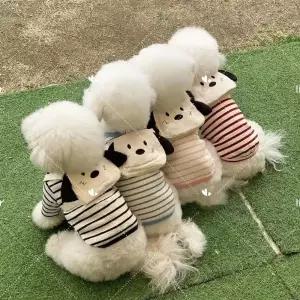 비유펫 강아지 가방 하네스