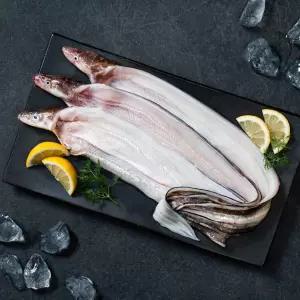 통영 자연산 바다장어 3kg 손질후 1.65kg 내외 소스2종 머리/장어뼈