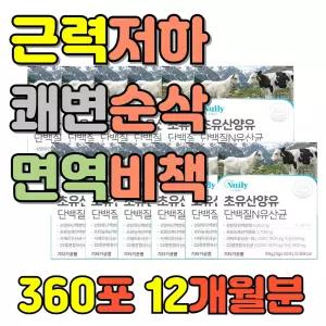 30대 40대 회사원 직장인 근력저하 프리 프로 유익균 단백질 장활동개선 LGG 면역글로불린 산양초유