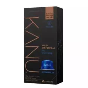 카누 바리스타 전용 아이스 캡슐 커피 와일드 워터풀 9.5g 10개입 95g 1박스