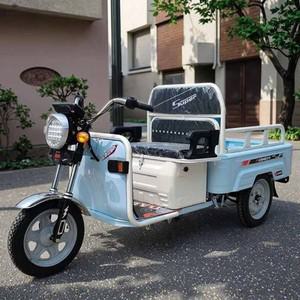 2025년 신형 미니 소형 600W 오픈 바디 화물 전기 성인용 다기능 삼륜차 접이식 및