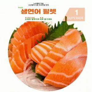연어 생연어 노르웨이 salmon