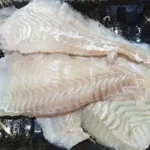 숙성 광어 회 신선 광어 필렛 횟감용 수산물 배달 순살