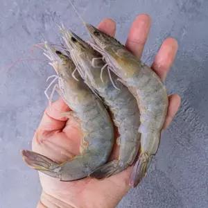 국내산 활 흰다리새우 500g