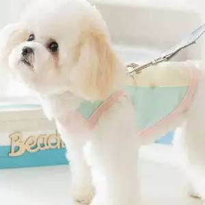 강아지 하네스 티셔츠 반려견 쿨링 나시 옷