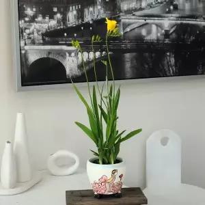 카툰 감성 화분 인테리어 토분 13x12cm 미니 플랜터 실내 정원 소품