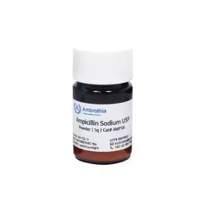 암브로티아 항생제 암피실린 ampicillin 파우더