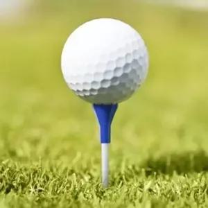 골프티꽂이 나이스샷 골프티 5개입 롱롱티 84mm 블루 티샷-WFOI90V