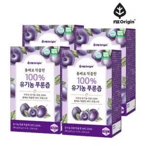 푸룬 프룬 주스 쥬스 식이섬유 임산부 푸룬 서양 건자주