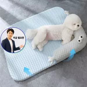 지금 필요한 애견 냉감 강아쿨방석 쿨매트 쿨링 반려견 방석 강아