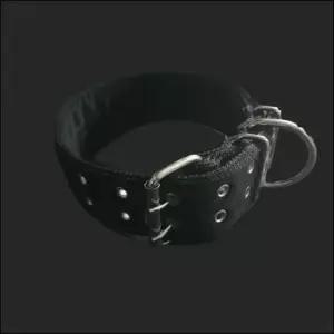 개목걸이 PP 밸트 개목줄 검정 강아지 목줄 대형견 50mm 70cm