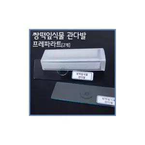 EK 2개) 쌍떡잎식물 관다발 프레파라트 2개입 어린이 학교 과학 수업 교구 실험 교육완구