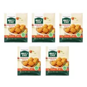 올바르고반듯한 우리돼지 꼬마돈까스 500g5팩