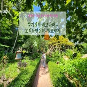 평창군지원 [평창 택시투어 2탄] 향기정원 허브나라~효석달빛언덕~밀브릿지(당일)