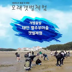 [태안] 별주부마을 갯벌체험/체험/태안가볼만한곳/키즈/단체/겨울/갯벌/서해안/서해안가볼만한곳