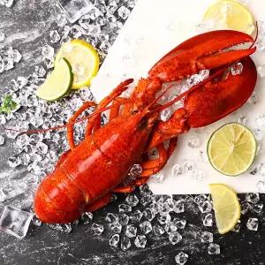 [냉동] [캐나다] 바이킹마켓 자숙랍스터 450g (1미)