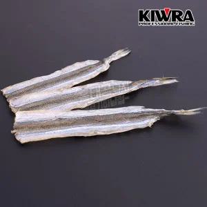 키우라 학꽁치포 K-213 / 생미끼 아이비 삼봉에기 한치 쭈꾸미 갑오징어 문어 낚시