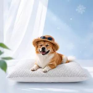 페스트리 듀라론 눈꽃 아이스 강아지 고양이 냉감 쿨링 여름 쿠션 방석