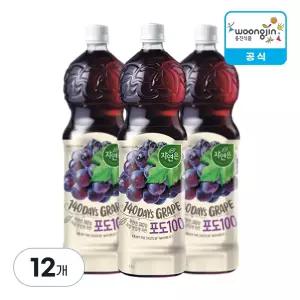 웅진식품 자연은 포도 1.5L, 12개