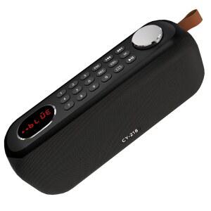 휴대용 블루투스 스피커 FM 라디오 디지털 USB/SD 카드 MP3 음악 플레이어 지원 /AUX/REC 내장형 3000MAH 충전식 배터리 10W 강력한 및 실내 실외용 이어폰