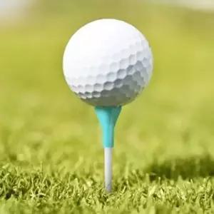 골프티꽂이 나이스샷 골프티 5개입 롱롱티 84mm 민트 티꽂이-WFOI8SJ